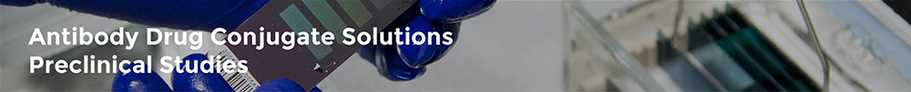 Preclinical Studies
